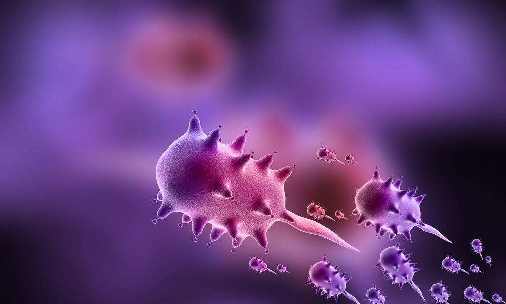 New Research Interests